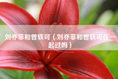 刘亦菲和曾轶可（刘亦菲和曾轶可在一起过吗）