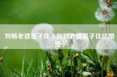 刘畅老婆吴子佳（刘畅老婆吴子佳结婚照）