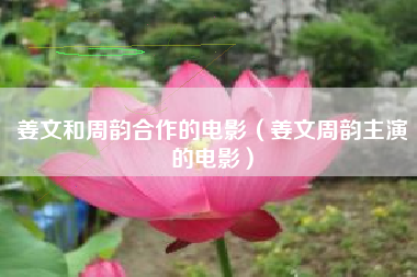 姜文和周韵合作的电影（姜文周韵主演的电影）
