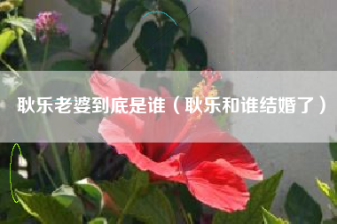 耿乐老婆到底是谁（耿乐和谁结婚了）
