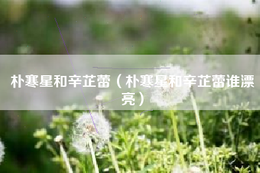 朴寒星和辛芷蕾（朴寒星和辛芷蕾谁漂亮）