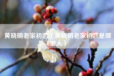 黄晓明老家初恋（黄晓明老家初恋是哪里人）
