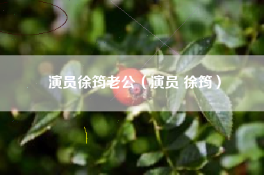 演员徐筠老公（演员 徐筠）