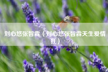 刘心悠张智霖（刘心悠张智霖天生爱情狂）