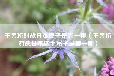 王昱珩对战日本扇子是哪一集（王昱珩对战日本选手扇子是哪一期）