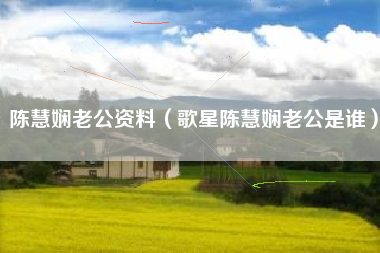 陈慧娴老公资料（歌星陈慧娴老公是谁）