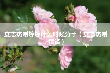 安志杰谢婷婷什么时候分手（安志杰谢霆锋）