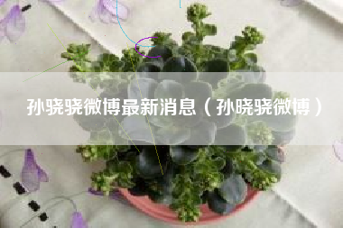 孙骁骁微博最新消息（孙晓骁微博）