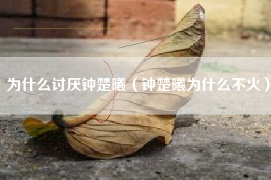 为什么讨厌钟楚曦（钟楚曦为什么不火）