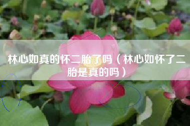 林心如真的怀二胎了吗（林心如怀了二胎是真的吗）