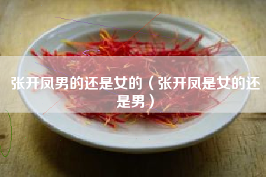 张开凤男的还是女的（张开凤是女的还是男）