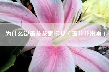 为什么说董花花是捞女（董花花出身）