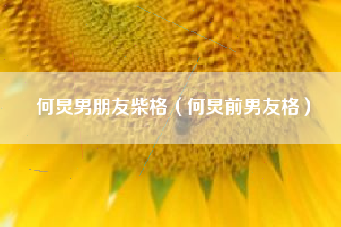 何炅男朋友柴格（何炅前男友格）