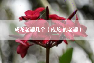 成龙老婆几个（成龙 的老婆）