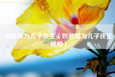 刘若英为儿子庆生（刘若英为儿子庆生视频）
