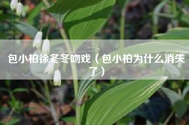 包小柏徐冬冬吻戏（包小柏为什么消失了）