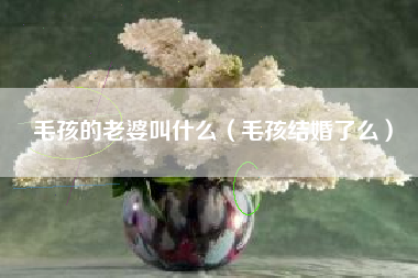毛孩的老婆叫什么（毛孩结婚了么）