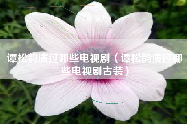 谭松韵演过哪些电视剧（谭松韵演过哪些电视剧古装）