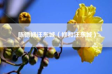 陈德修汪东城（修和汪东城）