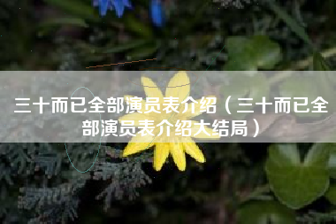 三十而已全部演员表介绍（三十而已全部演员表介绍大结局）