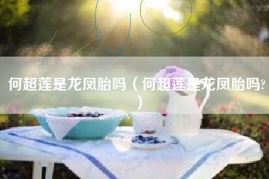 何超莲是龙凤胎吗（何超莲是龙凤胎吗?）
