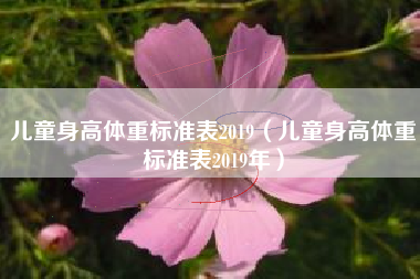 儿童身高体重标准表2019（儿童身高体重标准表2019年）