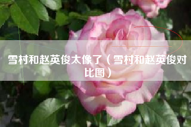 雪村和赵英俊太像了（雪村和赵英俊对比图）