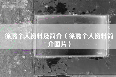 徐璐个人资料及简介（徐璐个人资料简介图片）