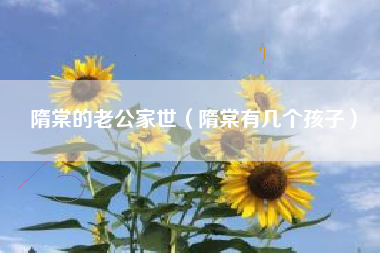 隋棠的老公家世（隋棠有几个孩子）