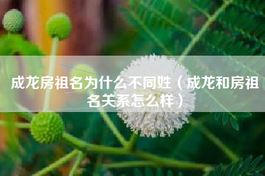 成龙房祖名为什么不同姓（成龙和房祖名关系怎么样）