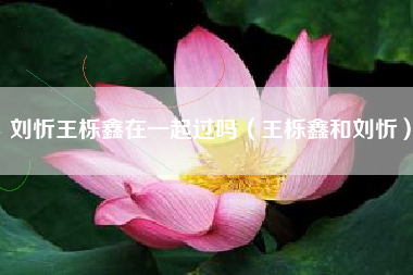 刘忻王栎鑫在一起过吗（王栎鑫和刘忻）