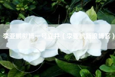 李亚鹏微博一号立井（李亚鹏新浪博客）