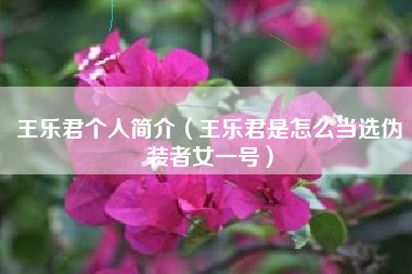 王乐君个人简介（王乐君是怎么当选伪装者女一号）