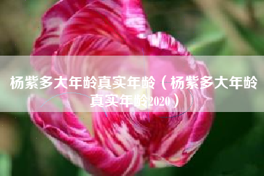 杨紫多大年龄真实年龄（杨紫多大年龄真实年龄2020）