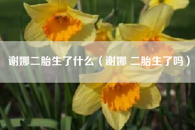 谢娜二胎生了什么（谢娜 二胎生了吗）