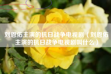 刘恩佑主演的抗日战争电视剧（刘恩佑主演的抗日战争电视剧叫什么）
