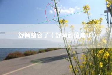 舒畅整容了（舒畅颜值崩了）