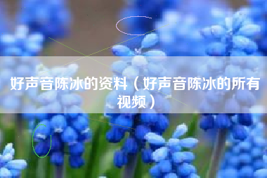 好声音陈冰的资料（好声音陈冰的所有视频）