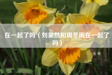 在一起了吗（刘昊然和周冬雨在一起了吗）