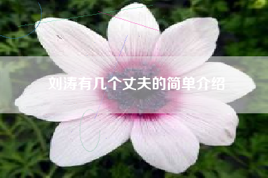 刘涛有几个丈夫的简单介绍