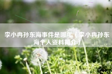 李小冉孙东海事件是哪年（李小冉孙东海个人资料简介）