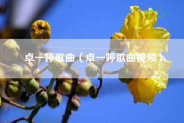 卓一婷歌曲（卓一婷歌曲视频）