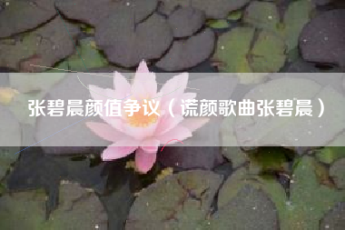 张碧晨颜值争议（谎颜歌曲张碧晨）