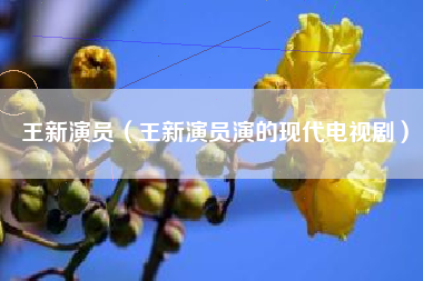 王新演员（王新演员演的现代电视剧）