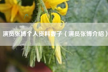 演员张博个人资料妻子（演员张博介绍）