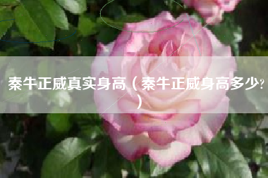 秦牛正威真实身高（秦牛正威身高多少?）