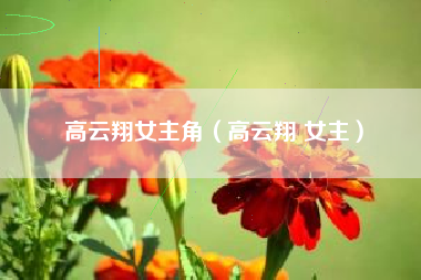 高云翔女主角（高云翔 女主）