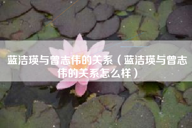 蓝洁瑛与曾志伟的关系（蓝洁瑛与曾志伟的关系怎么样）