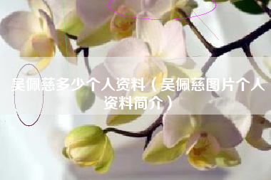 吴佩慈多少个人资料（吴佩慈图片个人资料简介）