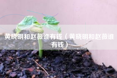 黄晓明和赵薇谁有钱（黄晓明和赵薇谁有钱）